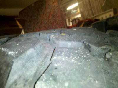 IMG_20101219_191551.jpg