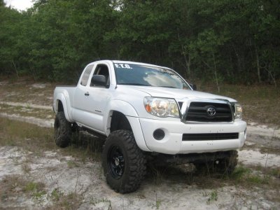 swamperrrrs 006.jpg