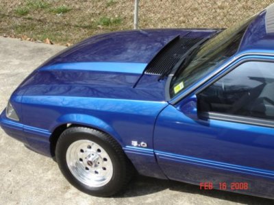 More stang-01.jpg