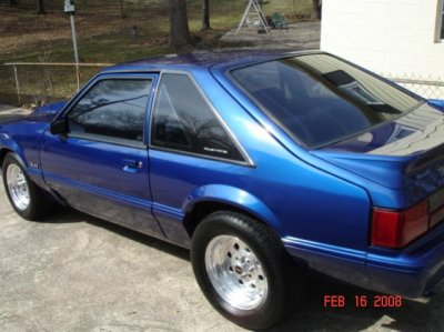 More stang-02.jpg