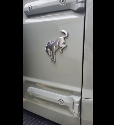 Bronco 22.jpg