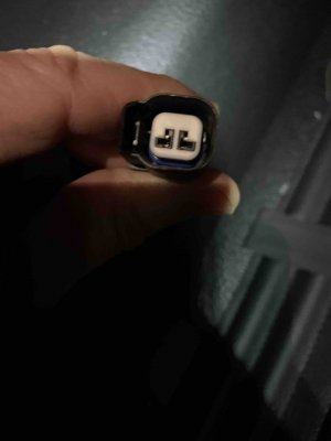 two hole plug.jpeg
