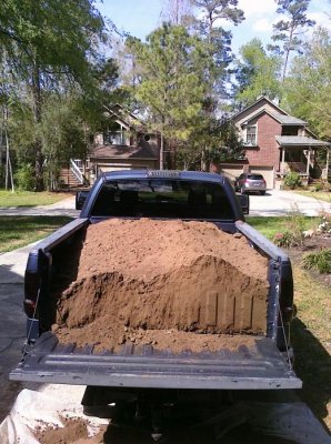 dirt1.jpg