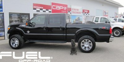 f-350bajaclawsmed.jpg