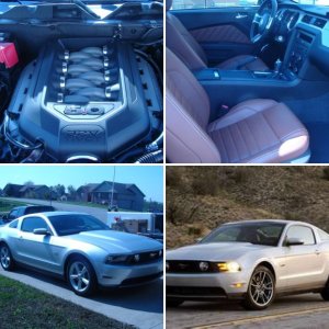 Mustang