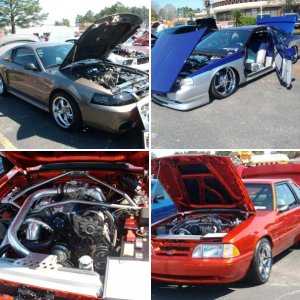 few pics from mustang and ford show