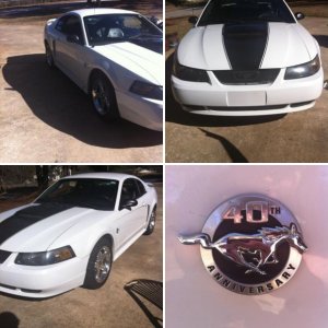 My dads stang