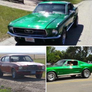 The family toys.