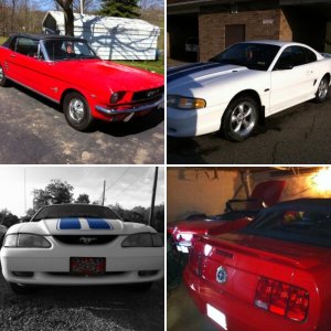 66,96,06 Mustangs