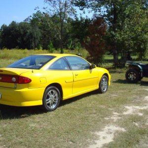 my cavalier