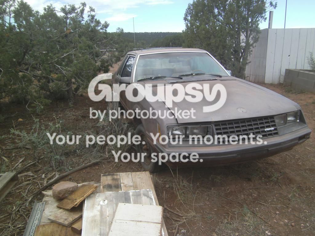 SANY0635_zpsceba5fc6.jpg
